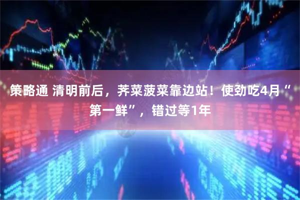 策略通 清明前后，荠菜菠菜靠边站！使劲吃4月“第一鲜”，错过等1年