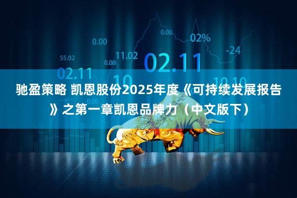 驰盈策略 凯恩股份2025年度《可持续发展报告》之第一章凯恩品牌力(中文版下)